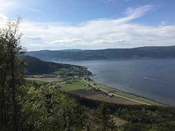 Viggjamarsjen 2021